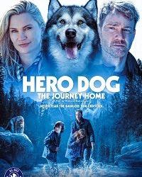 Собака-герой: путешествие домой (2021) смотреть онлайн